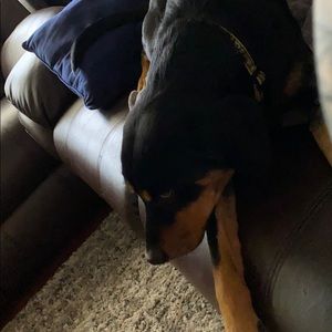 Meet your Posher, Matthew